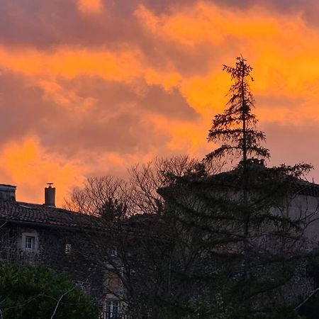 Chateau De Mauras Chomérac エクステリア 写真