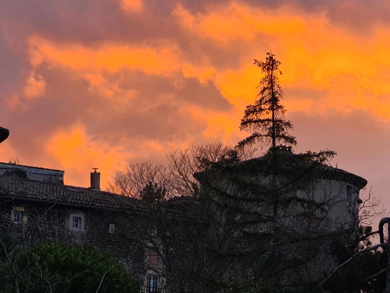 Chateau De Mauras Chomérac エクステリア 写真