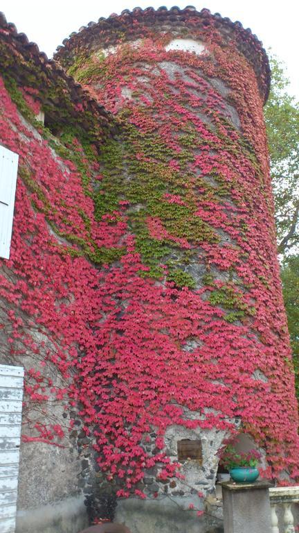 Chateau De Mauras Chomérac エクステリア 写真